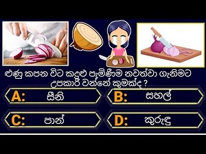 Interesting questions and answers | gk sinhala | Part (17)| සාමාන්‍ය දැනුම ප්‍රශ්න