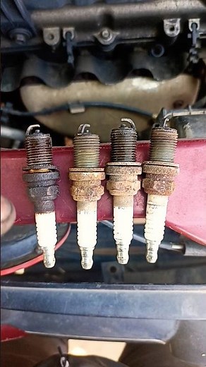 champion vs ngk spark plug #science #shorts #mecanical #shortvideo #shortsfeed @RNTCarservice7