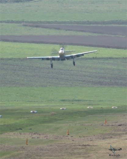 Warbirds | That Merlin engine sound at the end… simply timeless. 🛩️🔥 Smooth grass landing by the legendary P-51D Mustang Louisiana Kid. #P51Mustang... | Instagram