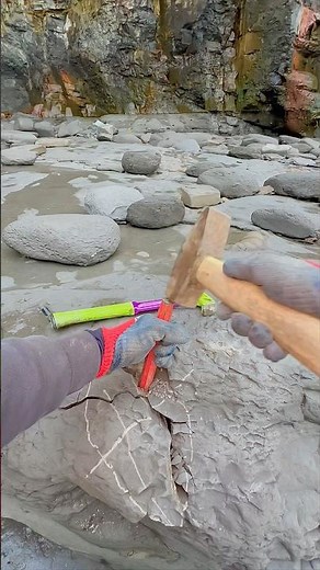 “X” Marks The Spot 😎⚒️ Searching through limestone and shale on a remote beach for fossils