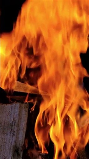 Cozy Bonfire Night – Relaxing Fire Sounds & Warm Campfire Ambience 🔥