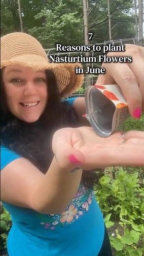 How to grow nasturtium from seed successfully ⬇️🌺 Read more⬇️