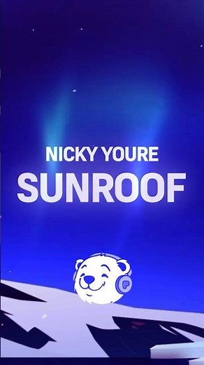 Nicky Youre - Sunroof (Lyrics)