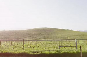 The story behind "the most viewed image in the world".