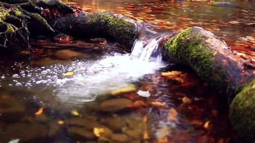 Water Sounds for Sleep or Focus, Natural Relaxation