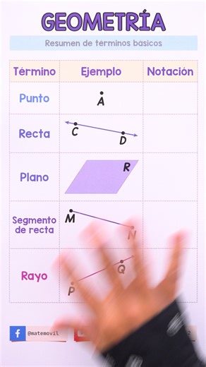 🌟 Veamos algunos términos básicos del curso de geometría 🐿. | Matemóvil