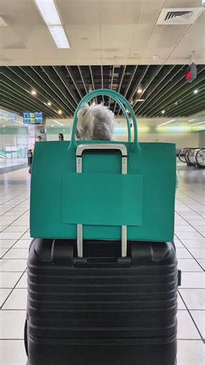 『和毛孩的每一趟出行，都變得更加精彩。』 這個有點與眾不同的寵物包， 是給小型犬的專享寵愛❤️ 《獨家設計，MIT製造》 不只外型時尚，細節也是計較到位。 ✅大面積透氣網，讓毛孩更舒適自在。 ✅底部加固，內層安全扣環，帶毛孩出門更安心。 ✅單側收納，輕鬆放置隨身小物。 現在下單享免運費 限量贈送拉桿(市值690) https://rink.cc/lgfan 『帶毛孩一起在每個城市的角落創造回憶❤️』 🐶🐱可依照當天的狀況、心情調整出行方式， 手提、單肩背、裝拉桿，也可以掛在行李箱上。 🐶🐱可上大眾運輸工具，可放在機車腳踏墊上。 🐶🐱帶毛孩探店的時候，也不會有店內空間太小不方便推車進入的問題了➿ 💰加入會員領取購物金💰 購物金可現折抵喔：https://rink.cc/lgfan | Pet With Human