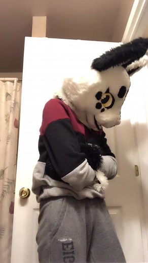 Exploring the World of Furries: An Inside Look at Fursuits and Fluffy Costumes