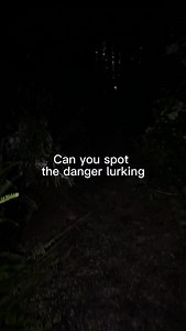 Protecting Tree Beard at all costs. #spookers #bushman #chainsaw #jumpscare #hauntedattraction #scareactor #treebeard | Spookers Haunted Attractions