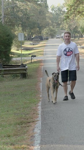 Meet the organization that rescues homeless dogs and trains them to become companion dogs for veterans suffering from PTSD, at no cost. Watch Today at 4PM on ABC13. | ABC13 Houston