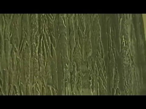 Tree Bark Wall Texture Painting Effect - Video 3