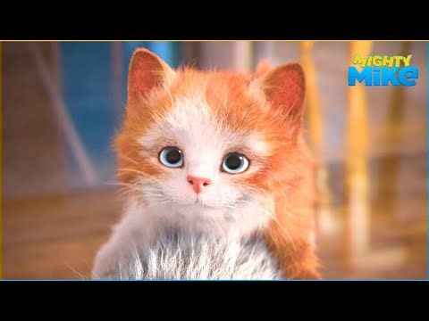 Pug rescues baby kitten and the house | Mighty Mike | Epic cat compilation