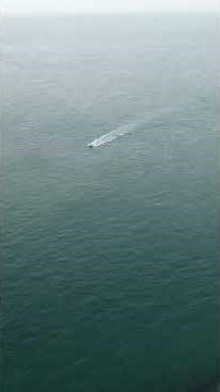 You Won’t Believe This 1 Day Trip from London to France! 🇫🇷 #ferryguide #travel #duet #nature #love