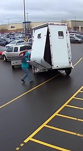 Incredible Teamwork Strangers Save Tipping Horse Trailer | Feel AI