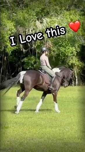 My Friesian Horse and His Beautiful Canter - Leo Equestrian