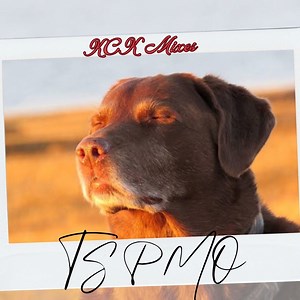 Ts Pmo - KCK Mixes: Song Lyrics, Music Videos & Concerts