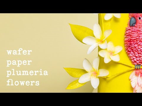 Wafer Paper Plumeria Flower Tutorial