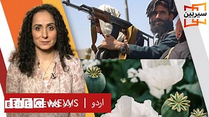 کیا طالبان افغانستان سے منشیات کا مکمل خاتمہ کر سکیں گے؟ - BBC News اردو