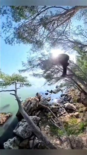 जबरदस्त कलाबाजियां the super hero #amazing #shorts #viral