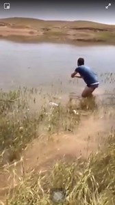 96K views · 56 shares | Watch how they catch fish!樂 | The Good Catch | Facebook