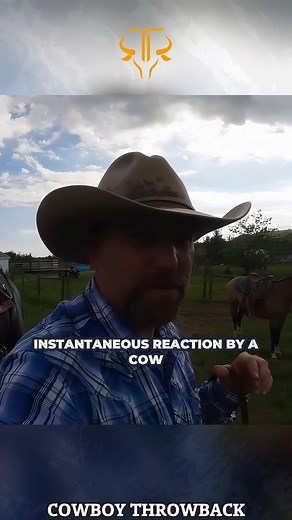 6.8K views · 360 reactions | Meet the Grizzly Country Protectors! How Cow Dogs Outrun Bears and Drive Cattle!  #grizzlybearcountry #cowdogs #cattledrive #trending #herdingdogs #dogsoffacebook #cowdogsofmontana #dupuyermontana #viral #trinityvandenacre #ranchadventures #ruggedranching #bordercollie #workingdogs #grizzlybearprotection | Life in the West | Facebook