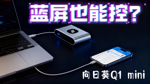 蓝屏也能远程控制？BIOS级远程控制神器--向日葵mini控控