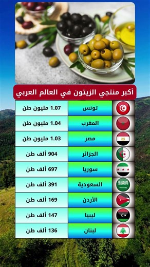 أكبر منتجي الزيتون في العالم العربي