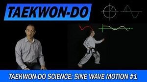 Taekwon-Do Science Sine Wave Motion 1