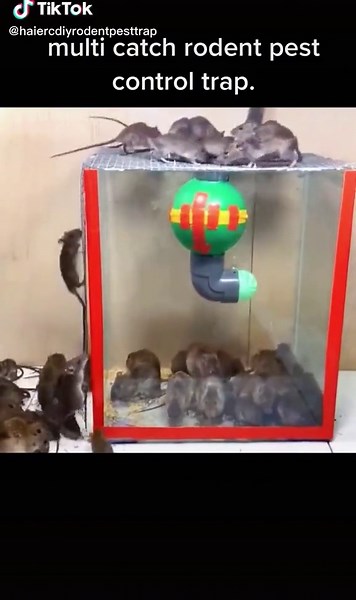 Multi Catch Rodent Pest Control Trap Explained