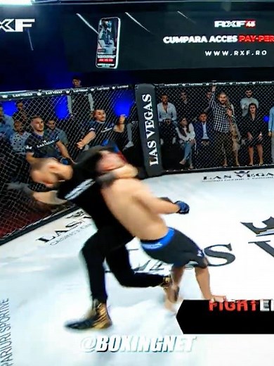 Never argue with the referee! #ufc