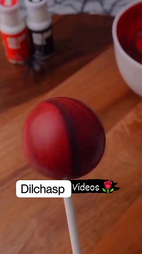 Dilchasp Reels on Reels
