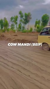 MANDI CURRENT SITUATION 🤨🙏🏻 KEECHAR BTH HAI BHAIYO BUYER AB BHI NHI MANDI MAI ITNA ALLAH PAK SABKE LIY ASANI KAREEE AAMEEEN❤️ #Shahbaz | Cow Mandi ( Bakra Eid in pakistan )