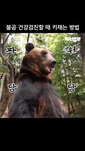 불곰이 건강검진할 때 키 재는 방법 ㅋㅋㅋ