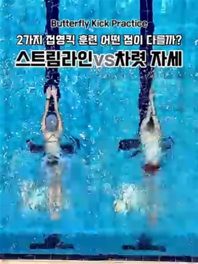 접영킥 연습 하는 2가지 방법! 이제 그냥 하지마세요! 어떤 효과가 있는지 생각하고 하세요! #swim #swimming #butterfly #수영 #접영 #접영킥