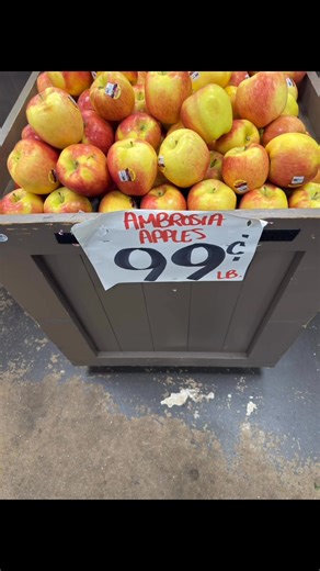 Grape tomatoes .99 package Medley Tomatoes $1.49 package English cucumbers .99 each Honey crisp Apples .99lb. Evercrisp apples $1.49lb. Macoun apples .99lb. Jonagold apples .99lb. Ambrosia apples .99lb. Eggplant .99lb. Green cabbage .79lb. Green peppers $1.49lb. Bagged suntan peppers .99lb. Bagged orange peppers .99lb. 370 Riverside Ave. Bristol, CT M-F 9-6pm Saturday 8-3 Closed Sundays | Family Roots Produce Market