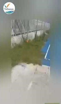 Καταγγελία Βάσως Θεοδωρακοπούλου-Μπόγρη: Κέντρο Πολιτισμού Μητροπολίτης Ιγνάτιος - Κανένας σεβασμός!