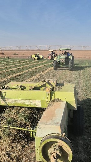 Claas markant55 with volvo tractor make grass block in Aljouf Tabarjal #newyorkcity #home #irrigation #allah #Amazing @highlight | Agriculture Sa