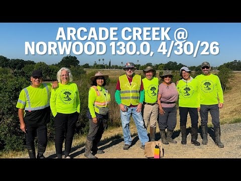 Arcade Creek Cleanup @ Norwood 130.0, 4/30/26
