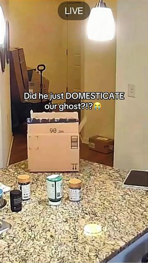 Exploring Why It Worked: Ethel and the Ghost Phenomenon