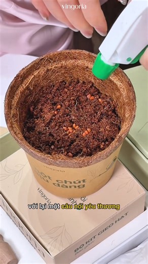 🤭1001 biểu cảm cực "meme" của Hoa hậu Khánh Vân khi "Phá kén" Nàng đừng quên tham gia minigame "Gieo mầm - trồng hạt" để có cơ hội sở hữu Iphone 17 Promax tại: https://vingovietnam.com/gieo-hat-lay-may-trung-ngay-iphone-17-promax/ #Vingoria #phaken #thalong | Vingoria