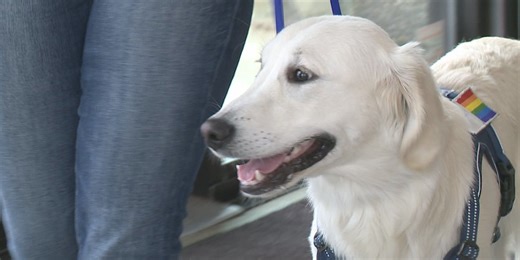Meet Augustana University’s new mascot, Ace