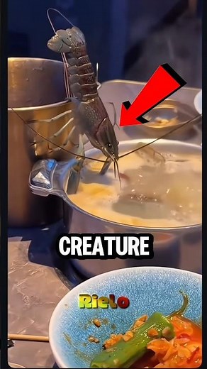 Lobsters Have Teeth in Their Stomach 😳🦞