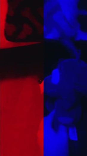 foxy don't like spring trap #memes #funny #fnaf