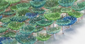 Meredith Woolnough: Science and stitch – TextileArtist