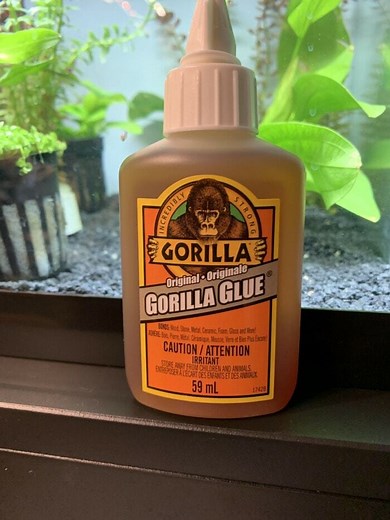 Is Gorilla Glue Safe For Aquariums? - Aquariumia