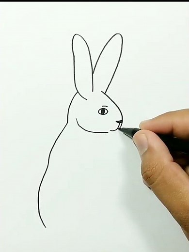 DRAWING ARCTIC HARE