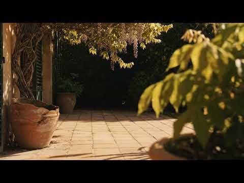 Classical 1 Hour Music - 1 Hour Calming Instrumental 🌙