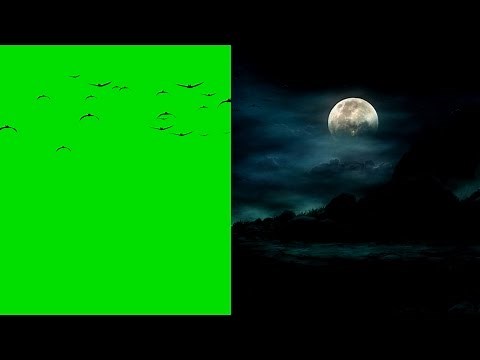 4K Flying Bats Green Screen Background Animation. Halloween Video Background.