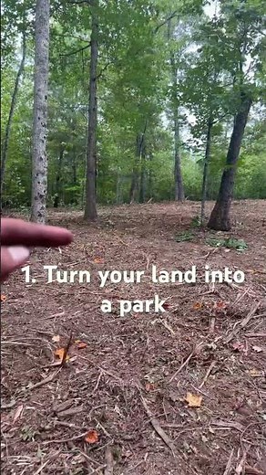 3 Reasons why landowners NEED to use a forestry mulcher #forestrymulching #landclearing