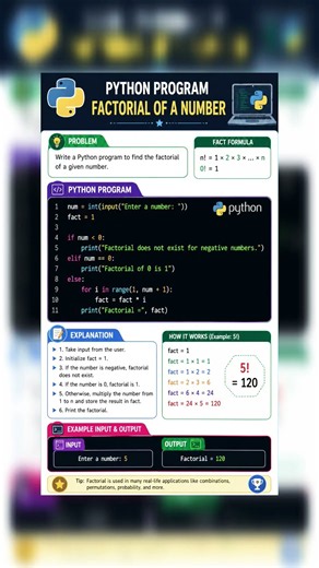 Python Program: Factorial of a Number | Easy CBSE Class 11 Code & Output 🚀
